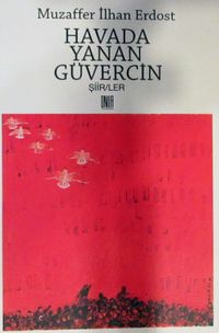 Havada Yanan Güvercin