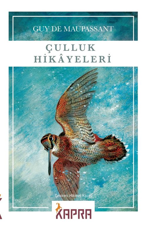 Çulluk Hikayeleri