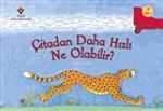 Çitadan Daha Hızlı Ne Olabilir?