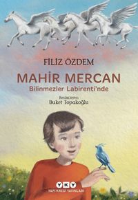 Mahir Mercan / Bilinmezler Labirenti'nde