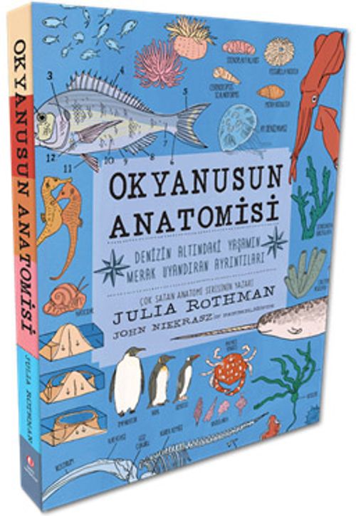 Okyanusun Anatomisi
