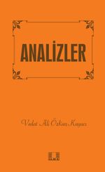 Analizler