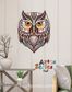 AZTEC  Owl 703 Parça (AZ05)