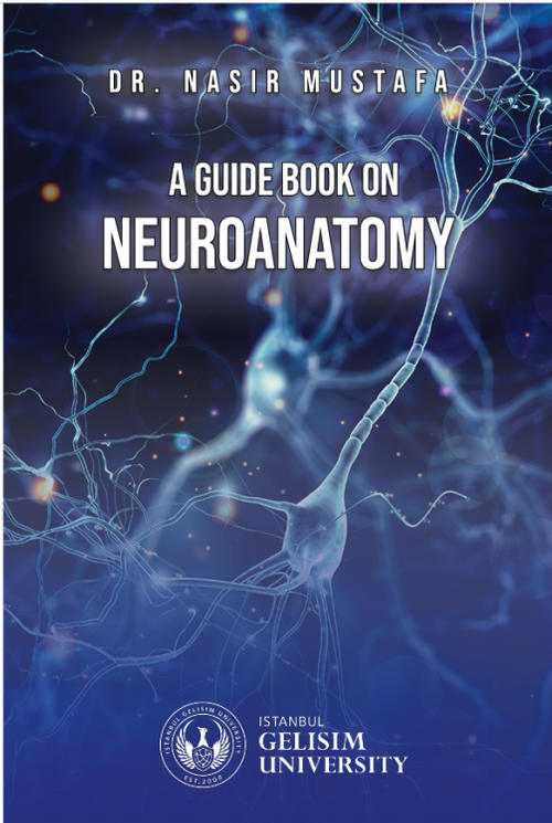 A Guide Book on Neuroanatomy