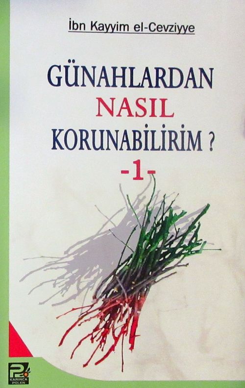 Günahlardan Nasıl Korunabilirim? 1