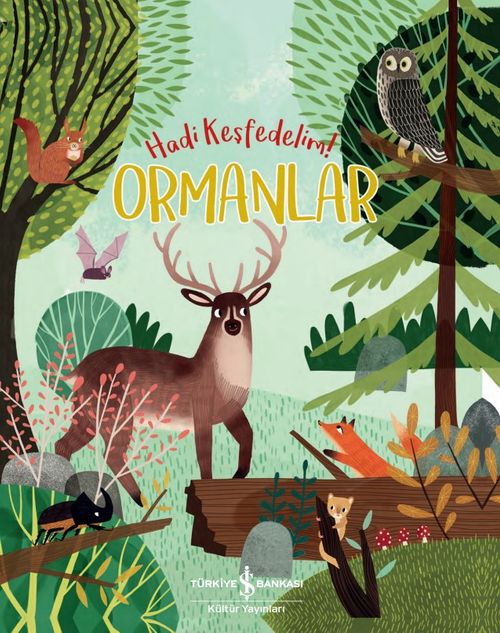 Ormanlar / Hadi Keşfedelim!
