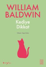 Kediye Dikkat