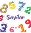 Sayılar (0-3 Yaş)