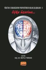 Yönetim ve Organizasyon Perspektifinden Kolluk Çalışmaları II & Öfke Üzerine