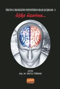 Yönetim ve Organizasyon Perspektifinden Kolluk Çalışmaları II & Öfke Üzerine