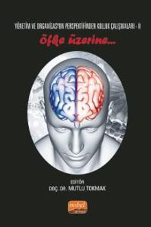 Yönetim ve Organizasyon Perspektifinden Kolluk Çalışmaları II & Öfke Üzerine