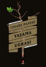 Yaşama Uğraşı