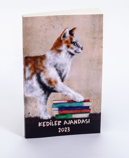 2023 Kediler Ajandası (Küçük Boy)