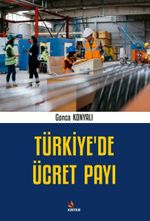 Türkiye'de Ücret Payı