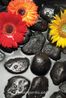 Zen Taşları ve Çiçekler Ahşap Puzzle 500 Parça (BC06-D)