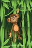 Bambu Ormanında Maymun Ahşap Puzzle 500 Parça (CK04-D)</span>