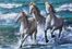 Deniz Kenarında Atlar Ahşap Puzzle 500 Parça (HV14-D)