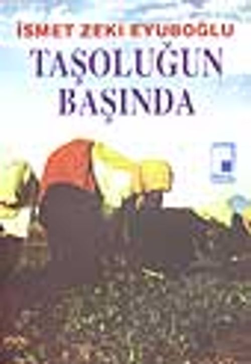 Taşoluğun Başında