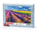 Lavanta Tarlası Ahşap Puzzle 2000 Parça (DG50-MM)