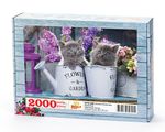 Sulama Kovasında Kedicikler Ahşap Puzzle	2000 Parça (HV75-MM)