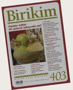 Birikim Aylık Sosyalist Kültür Dergisi Sayı:403 Kasım 2022