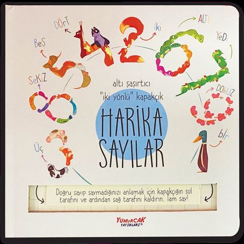 Harika Sayılar (Kapakçıklı)