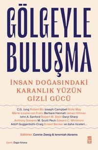 Gölgeyle Buluşma & İnsan Doğasındaki Karanlık Yüzün Gizli Gücü