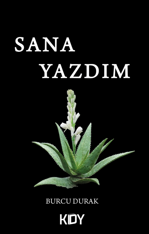Sana yazdım 