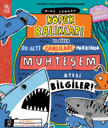 Köpek Balıkları ve Diğer Su Altı Canlıları Hakkında Muhteşem Ötesi Bilgiler!