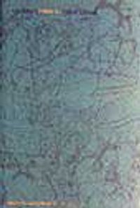 Homeros (Gül ile Söyleşi)