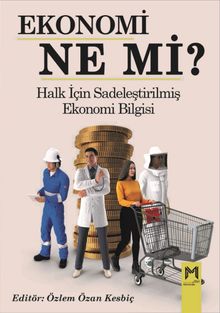 Ekonomi Ne Mi?