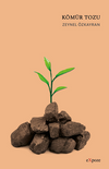 K&ouml;m&uuml;r Tozu