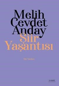 Şiir Yaşantısı & Şiir Yazıları