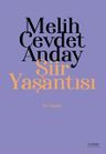 Şiir Yaşantısı &amp; Şiir Yazıları