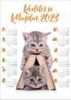 2023 Takvimli Poster - Kediler ve Kitaplar - Kitap Ev