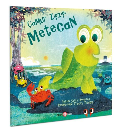 Çamur Zıpzıpı Metecan (Sally Hopgood) Fiyatı, Yorumları, Satın Al