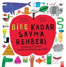 Bire Kadar Sayma Rehberi