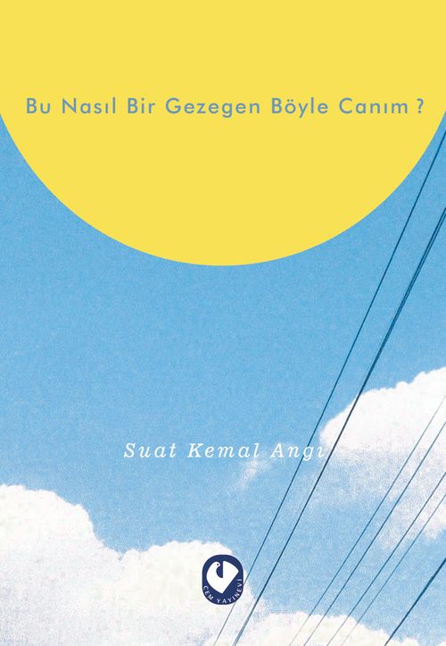 Bu Nasıl Bir Gezegen Böyle Canım ?