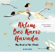 Aklım Beş Karış Havada