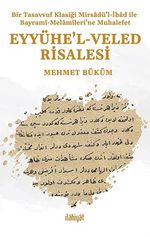 Eyyühe'l-Veled Risalesi & Bir Tasavvuf Klasiği Mirsadü'l-İbad ile Bayramî-Melamîlerine Muhalefet