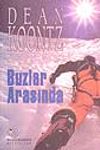 Buzlar Arasında