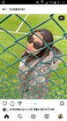 Zeynep Nazlı