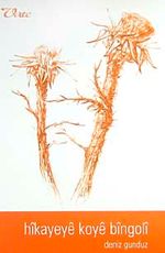 Hikayeye Koye Bingoli