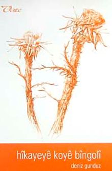 Hikayeye Koye Bingoli