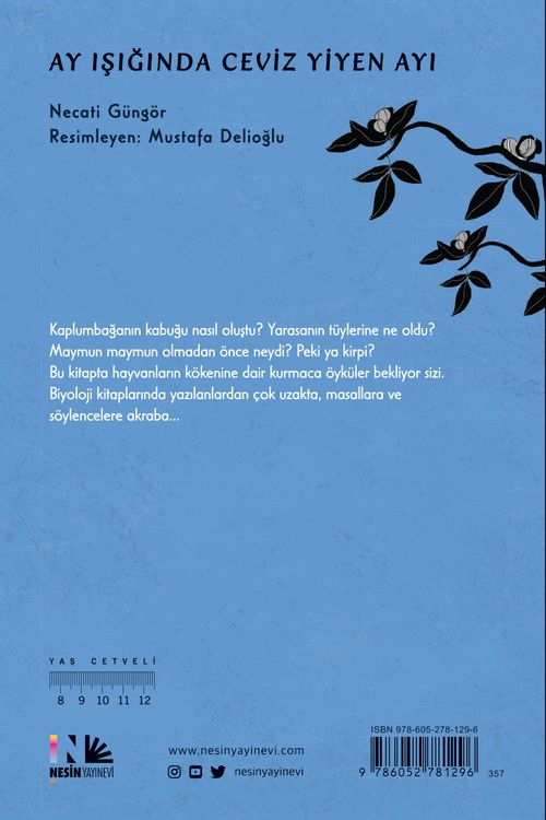 Ay Işığında Ceviz Yiyen Ayı