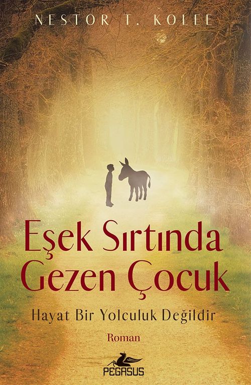 Eşek Sırtında Gezen Çocuk & Hayat Bir Yolculuk Değildir