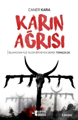 Karın Ağrısı