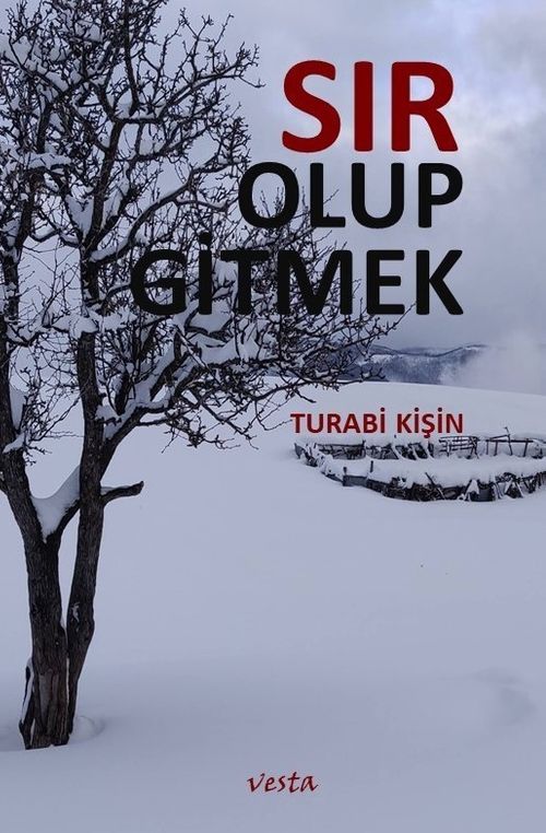 Sır Olup Gitmek