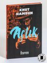 Açlık (Ciltli, İplik Dikişli)