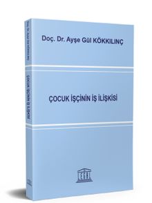 Çocuk İşçinin İş İlişkisi